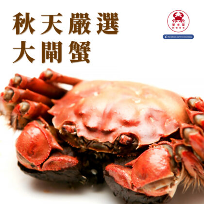 秋季限定-5A與3A規格 特優級大閘蟹 生猛滿膏 濃郁蟹膏黏牙口感 全台”低溫免運費“