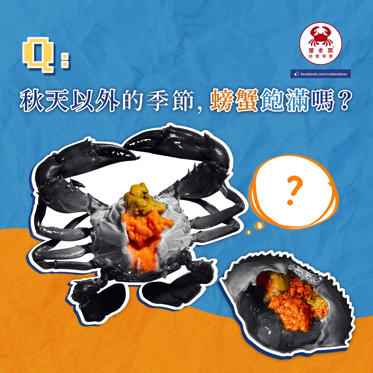 第三課 季節之謎