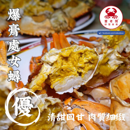 臨時稀有販售－菲律賓產地直送 優質 爆膏處女蟳 /生猛螃蟹 快速到貨 活體免運費